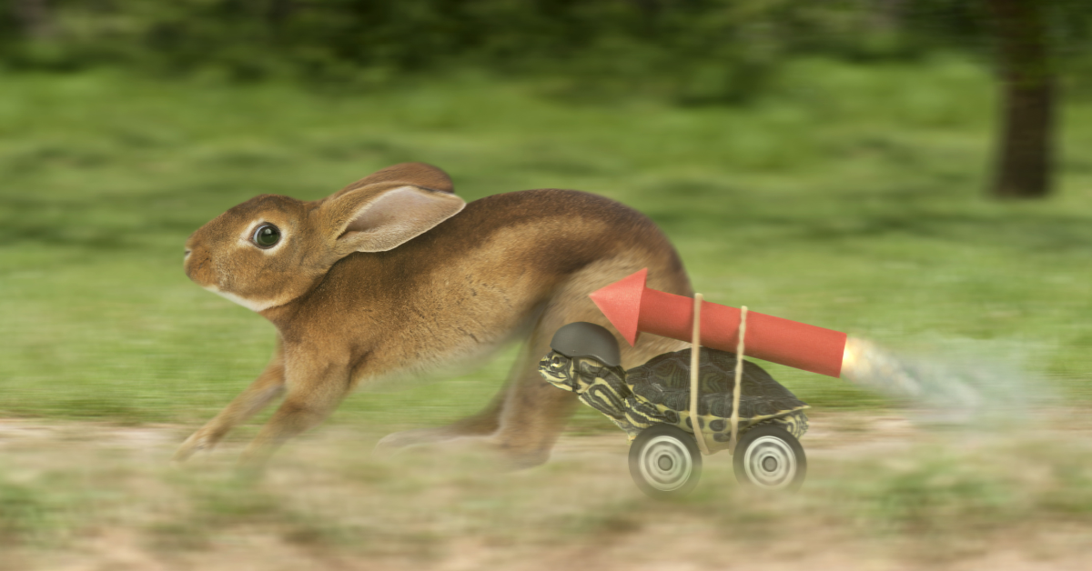 Rabbit and hare slow down to speed up