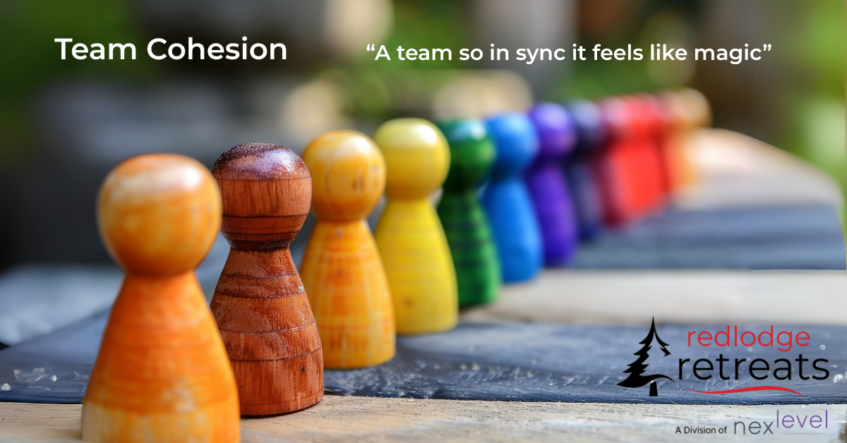 Tips to create team cohesion